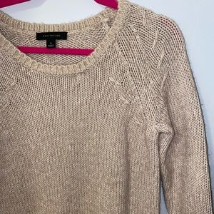 Ann Taylor Sweater